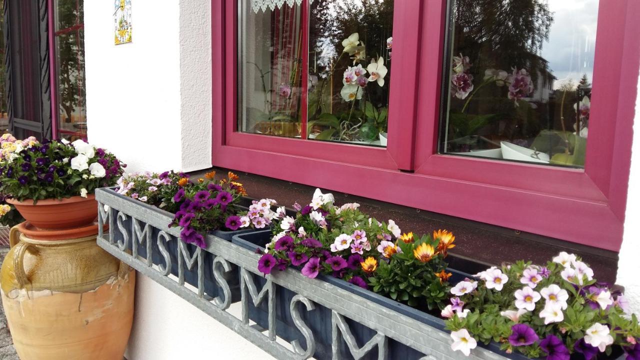 B & B Gaestehaus Schmidt Lichtenberg  Esterno foto